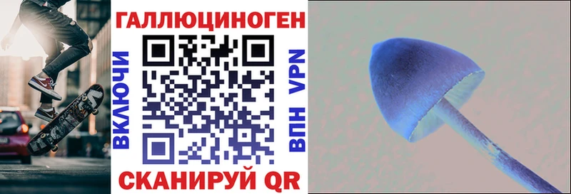 blacksprut tor Вязники Псилоцибиновые грибы мухоморы