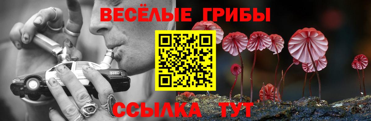 Вязники  Галлюциногенные грибы мицелий  Псилоцибиновые грибы прущие грибы  Вход с VPN 