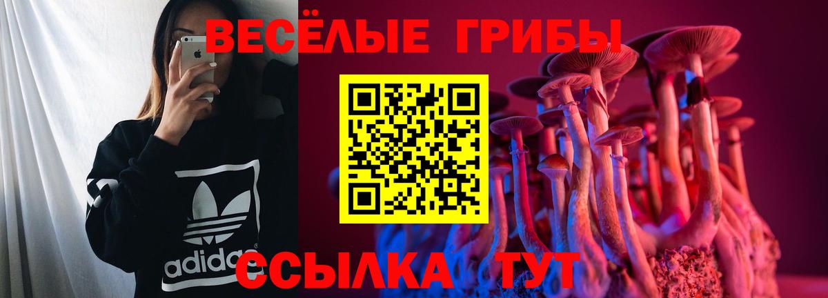 Галлюциногенные грибы GOLDEN TEACHER Вязники